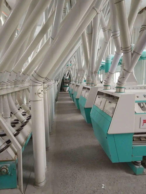 梁山縣新豐面粉廠 誠邀全國經(jīng)銷商，共拓勞動(dòng)保護(hù)用品銷售新藍(lán)海